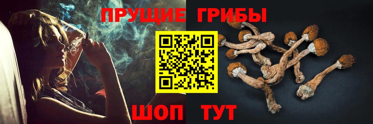 Будённовск  Псилоцибиновые грибы ЛСД  Вход с VPN 